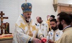 60352926 3112585125421965 7223364126846746624 o