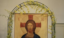 92692061 4141631275850673 9040972854627139584 o