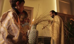 92693314 4141715149175619 2975546363346944000 o