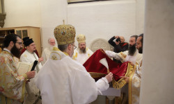 279875676 7948470021833427 8844777251189931674 n